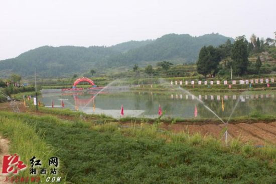 湘西州开展机械化提水节水灌溉技术大演示(图