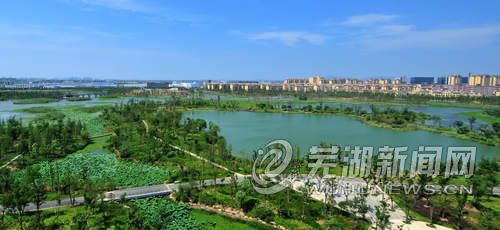 秀美大阳垾湿地公园绽放芜湖城东(图)