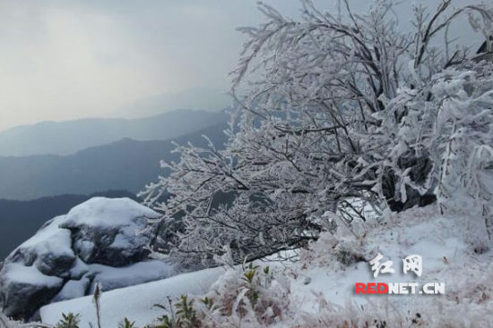 南岳衡山告别持久晴朗天气再现立春后雾凇奇观