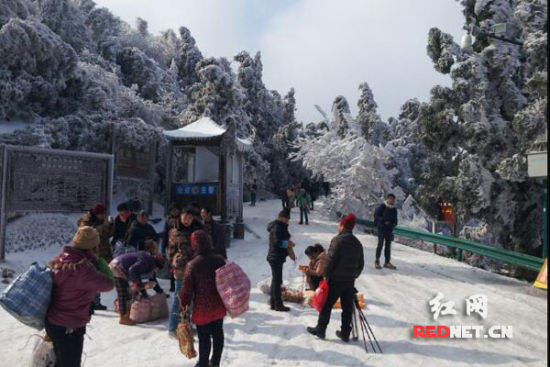 南岳衡山告别持久晴朗天气再现立春后雾凇奇观