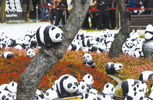 图文大熊猫快闪台北