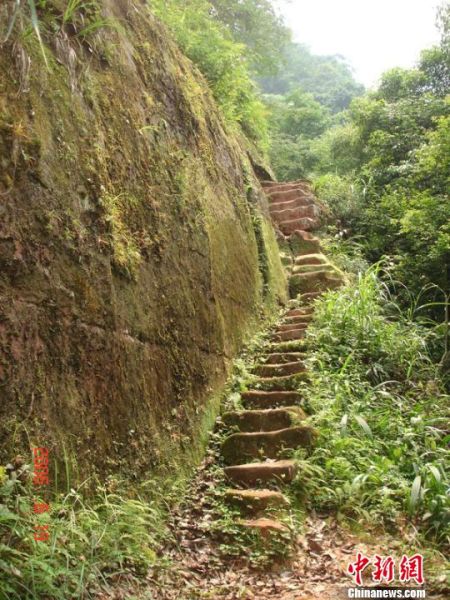 重庆"爱情天梯"将建爱情叙事馆 向社会征集资料(图)