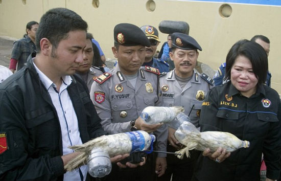 印尼海关查获24只濒危鹦鹉被塞进塑料瓶走私(组图)