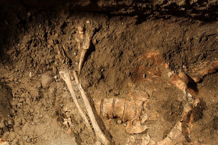 ���������������ɯԭ���Ź�