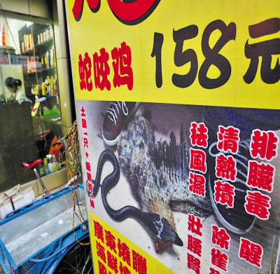 重庆现毒蛇咬鸡菜式卫生部门称将叫停(组图)