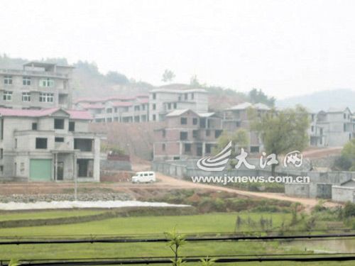 区建设局强拆违建别墅成被告(图)
