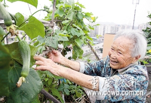 百岁婆婆换肤长牙白发变黑被称返老还童(图)