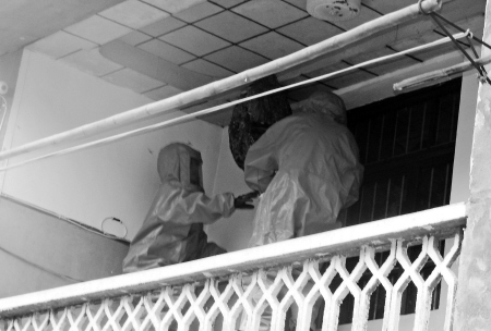 1米长蜂窝挂在阳台上 居民用竹竿捅破被蜇