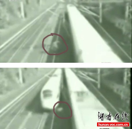 网络热传铁路检测工十秒内躲过两列动车视频