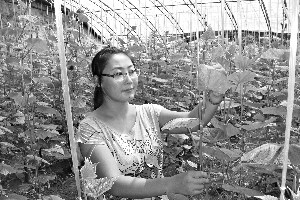 24岁女大学生回村种菜承包大棚年赚24万