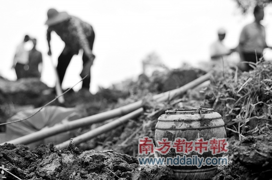 重阳拜祖方知200祖坟被挖 东莞高埗镇冼沙村村