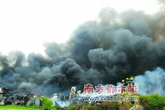 52消防员布防 阻止火势蔓延 废品站遭大火燃毁