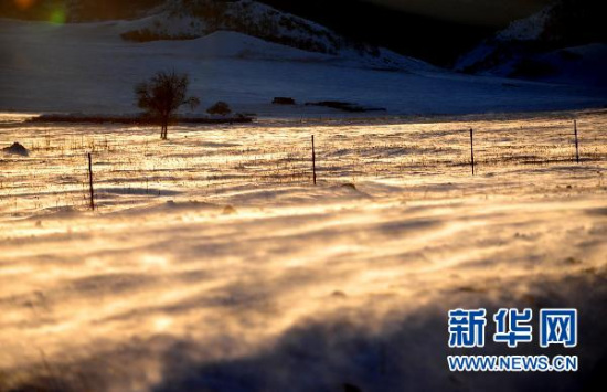 这是科右前旗满族屯满族乡被大雪覆盖的草场上刮起白毛风（摄于11月28日）。新华社记者 任军川摄 （资料图）