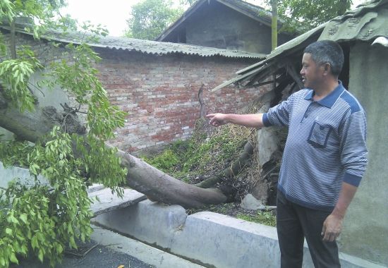 彭州 大风冰雹联袂上房揭瓦 土豆躲过一劫