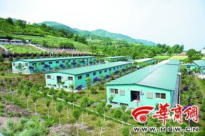 西安生态猪喝山泉听音乐 一斤肉售价60元