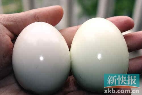 市民超市买到假鸡蛋 蛋黄韧性超乒乓球