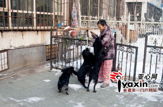 ͼΪ��23�գ�������÷���˼ҵ�Ժ�������һ���������Ƕ�Χ��������