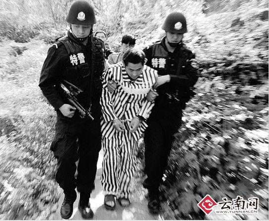 肖燕 摄 肖燕 摄