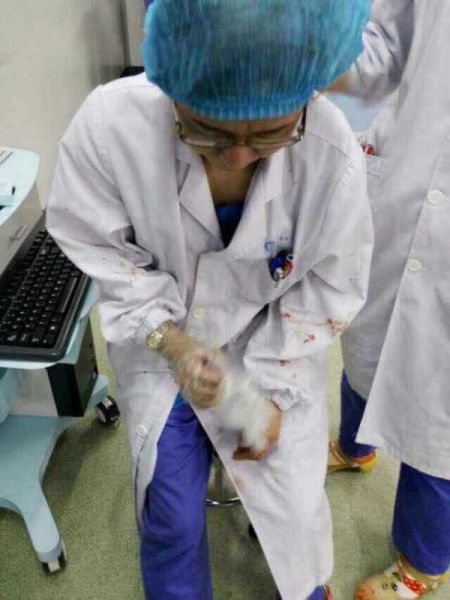 女医生被打 女医生被打