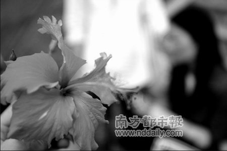 文员上班首日被上司强奸(图)