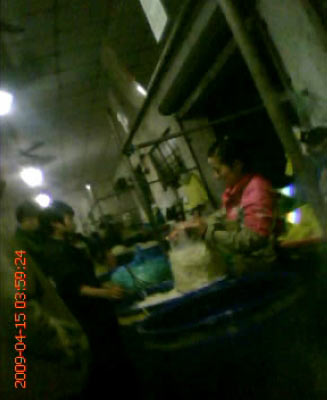 菜贩被曝用化学药品泡豆芽增白(组图)