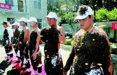 蜂人大赛选手身上爬上万只蜜蜂(图)