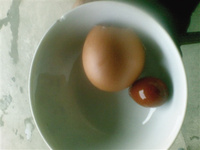 蛋包蛋