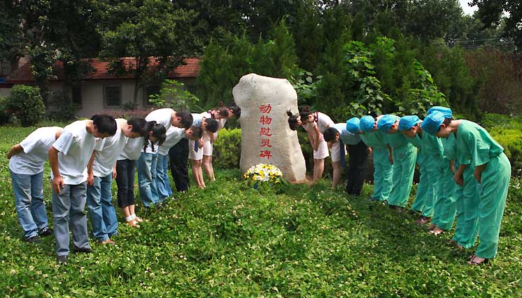 图文:医生与学生们向实验中死亡动物鞠躬行礼