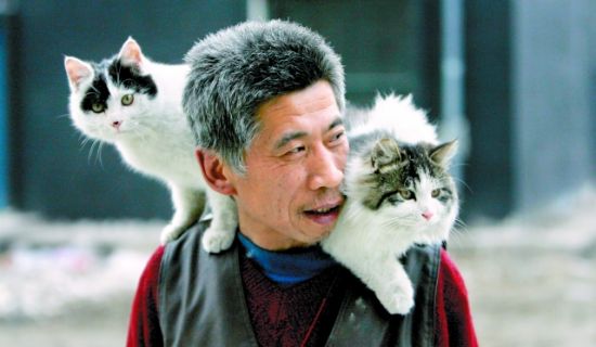 老张和这两只猫已经成为好朋友 本报记者 王强 摄