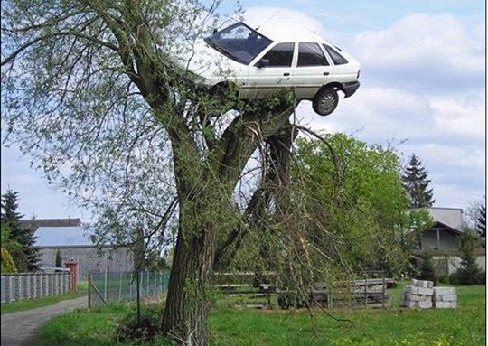 男子驾驶技术烂 汽车被邻居抬上树