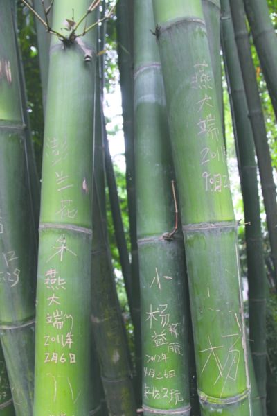 　竹子上刻着“燕大端”三个字
