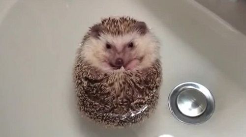 С�����ˮ���������ˡ�Ư��������