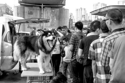 6��10�գ�ʮ��ӳ����г����֡������ϲ��������ڽ����Ĵ���Ȯ��(����ʱ������ͼƬ)����ʱ�������Ѷ�����Ӱ����