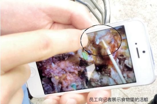 thursday june 2014 am公司食堂饭菜里出现活蛆 64人加餐后