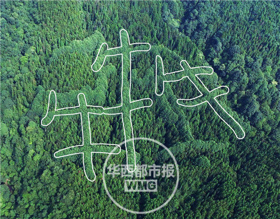ͼ