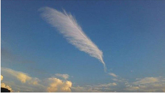 台湾天空现形似羽毛云朵 网友大赞美呆了(图)|