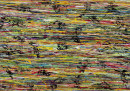 2011 Zoon-No.1105140x200cm