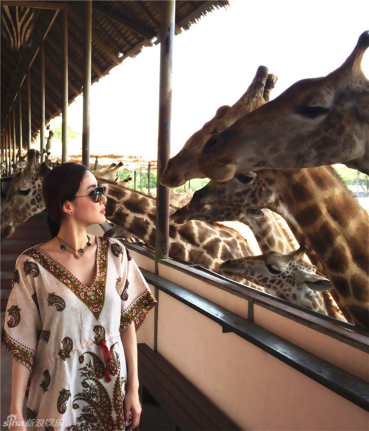 组图：叶一云与长颈鹿亲密接触 展和谐自然美