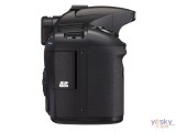  K20D