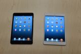 ƻ�� iPad Mini