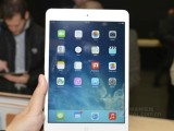 ƻ�� iPad mini 2