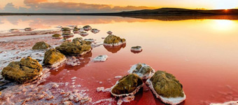 美得令人窒息的粉色盐湖：藻类让湖水颜色鲜艳
