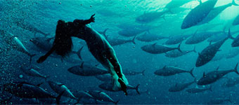 ԭ����[�����㹲��