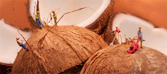 ģ��ḻ������� Ȥζʮ���΢����Ӱ