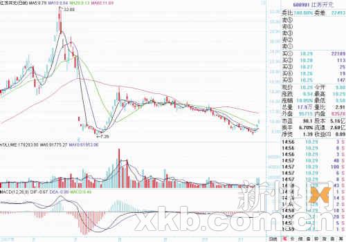 收入证明范本_支出收入表格_效益收入(3)