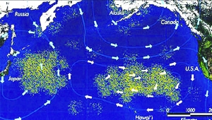 垃圾漩涡横跨太平洋