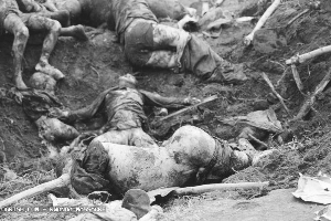 昔造白骨累累 今把牢底坐穿_新闻中心_新浪网