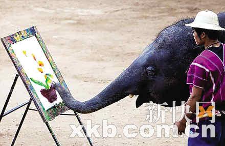 这头大象作画一幅卖四百