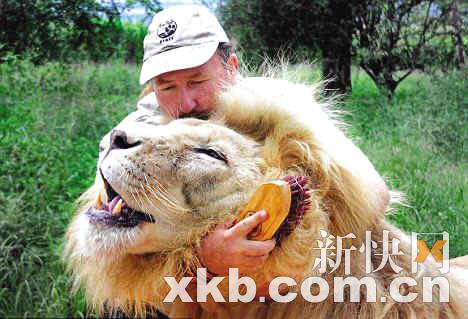 碍手碍脚打一动物 0808adff1d298da33dab756950c7c19d.jpg