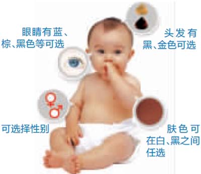 美专家定做婴儿全球哗然(图)